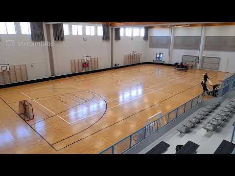 D2-pojat, KS/SK, Lohko A, Welhot Wings - Coach Team