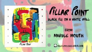 Pillar Point - Black Fly on a White Wall [OFFICIAL AUDIO]