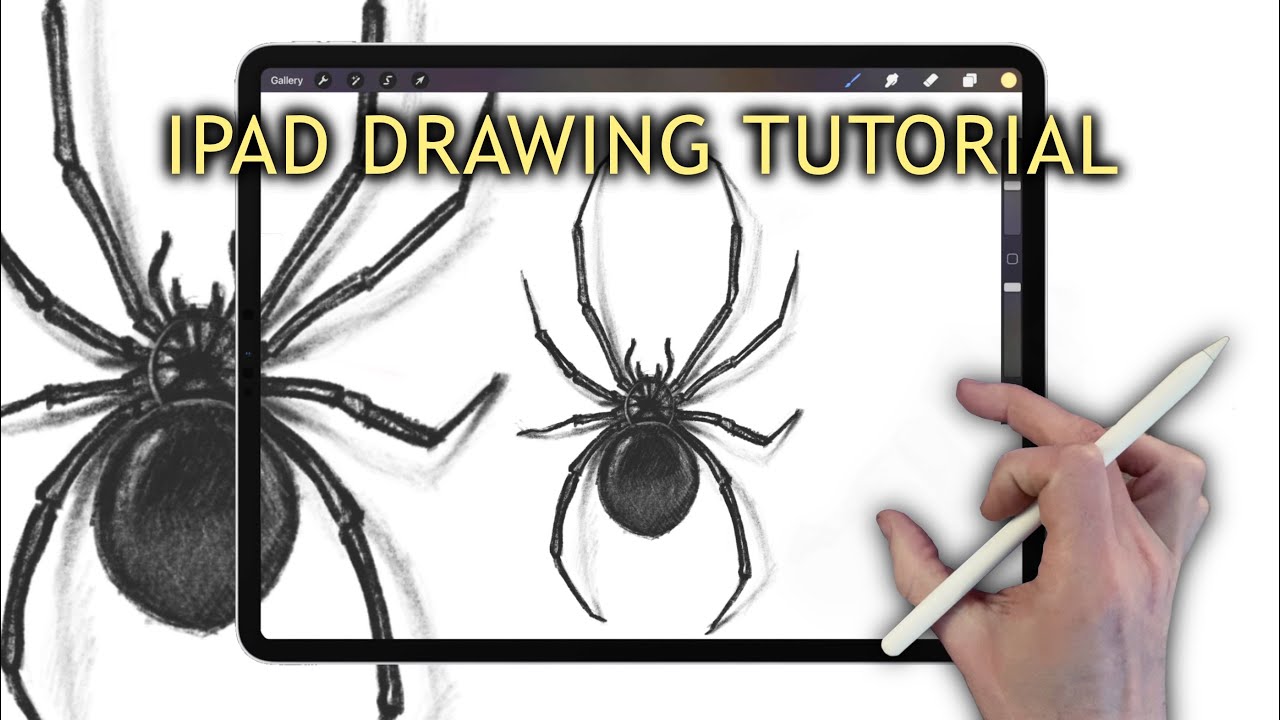 Procreate DRAWING TUTORIAL - How to draw a Spider
