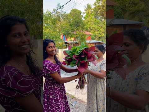 ഇത് ഞങ്ങൾക്ക് തന്നെ മെനക്കേടായി 🙂😑🚶‍♀️#farming #farm