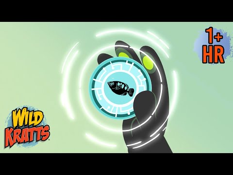 Chris Learns to Aim Like an Archer Fish | New Compilation | Wild Kratts