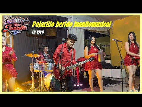 PAJARILLO HERIDO - JUANITOMUSICAL