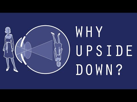 Everything is Upside Down! | The Architecture of the Human Eye