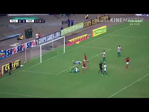 Flamengo 4 x 0 Portuguesa