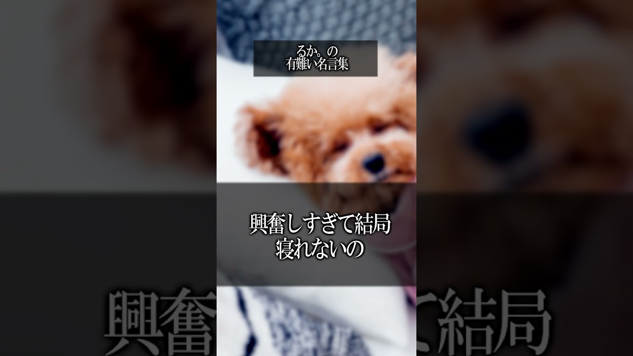 【名言】るか。の有難いお言葉。#shorts