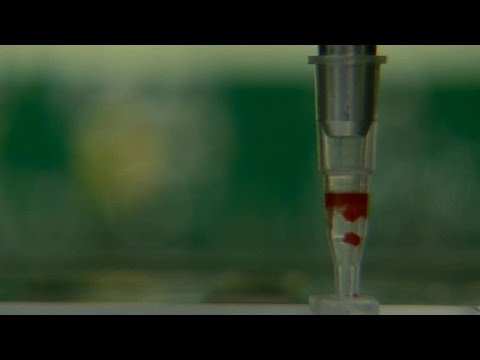 Inside the Theranos lab with Elizabeth Holmes