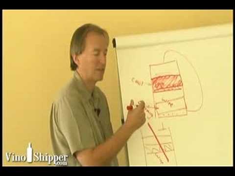 The Winemakers V1-13: Red Fermentation