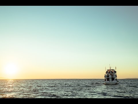 Hideout 2016 Official Highlights Video