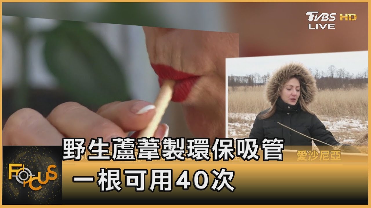 野生蘆葦製環保吸管 一根可用40次