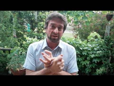 Spanish with Guillem