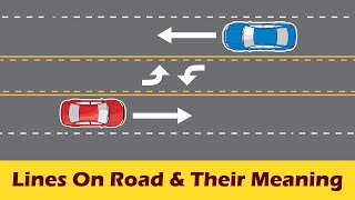 Lines on the road and their meanings
