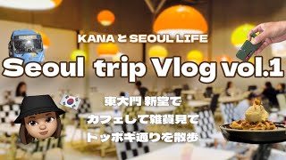 [vlog vol.1] Seou trip Day-1 東大門区のシンダンから始まる日韓夫婦のソウル旅行1日目