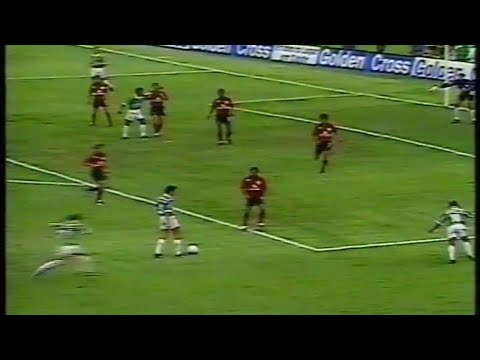 Final - Brasileiro 93 : Palmeiras 2x0 Vitória ( versão Band)