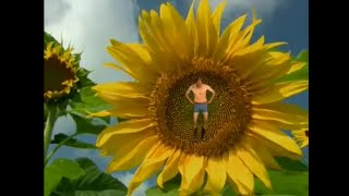 Mac DeMarco - I&#39;ve Been Waiting For Her