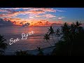 Anxmus Music Ringtone Anxmus Music Sea WhatsApp Status