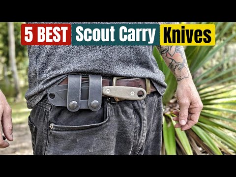 Best Scout Carry Knife of 2025 [Updated]
