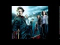 09 - Harry Sees Dragons - Harry Potter and The Goblet Of Fire Soundtrack