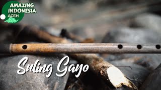 Download lagu Suling Gayo | Amazing Indonesia Aceh mp3