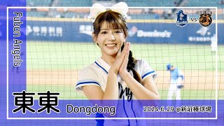 【台湾チア】東東 Dongdong | Fubon Angels | 池恩齊,王正棠 應援曲 + 嗆司曲 一擊稱霸  [中文歌詞]