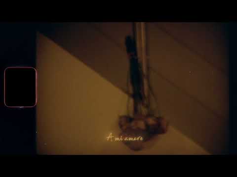 SHAW  - BABY LOVA ( OFFICIAL LYRICS VIDEO )