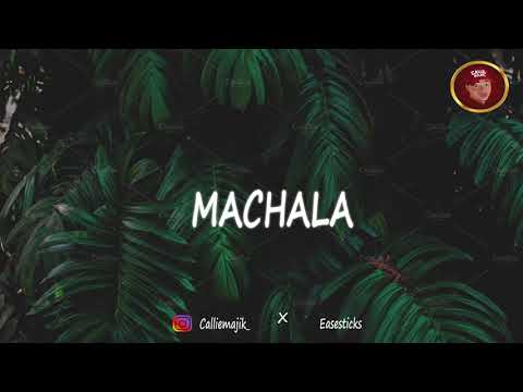 "Machala" Burna Boy x Wizkid Type Beat 20205 ||Afrobeats [SOLD]