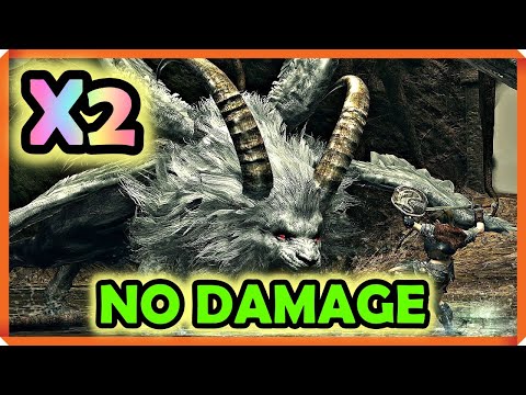 Two Sanctuary Guardians No Damage Dark Souls