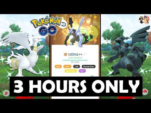 WATCH THIS BEFORE KYUREM FUSION RAID DAY in Pokémon GO! (2026)