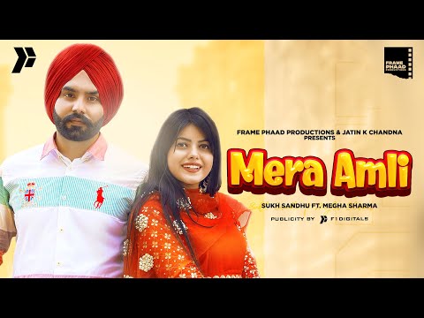 Mera Amli