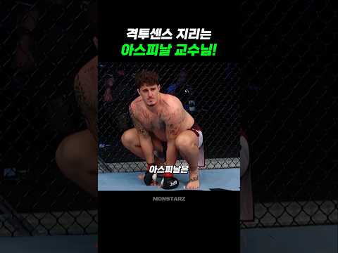 지능 100, 민첩성 100 찍은 아스피날의 격투센스!