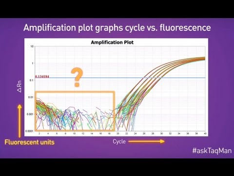Baselines in Real-Time PCR -- Ask TaqMan®: Ep. 5