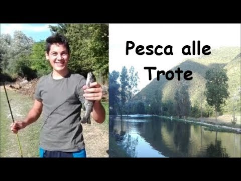 Il mal di schiena si trasforma in testicoli Sintomi dellosteoartrite del trattamento al ginocchio