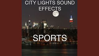 Boxing Speed Bag Using Both Hands Sound Effects Sound Effect Sounds EFX Sfx FX Sports Boxing