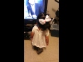 Don T Change The Channel When She S Watching Dora