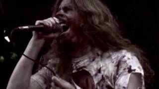 Bloodbath Year of the cadaver race