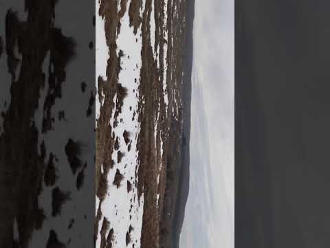 vanatoare combatere badeni buzău