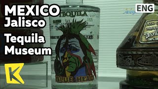 【K】Mexico Travel-Jalisco[멕시코 여행-할리스코]전통술 데낄라 박물관/Tequila Museum/Drink/Agave