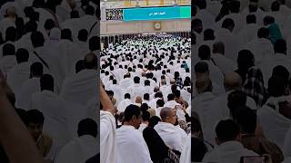 Download lagu Masha, Allah makkah live madina live#makkah#madina#shorts#hajjlive#shortvideoRamadan#meccahaj mp3