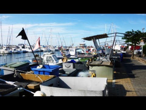 France - Cap d'Agde 2017 - Le Vieux Port des pêcheurs.