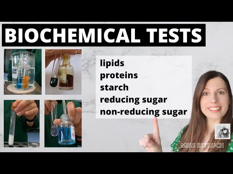 A-level BIOCHEMICAL TESTS- test for starch, reducing sugars, non-reducing sugars, proteins, lipids