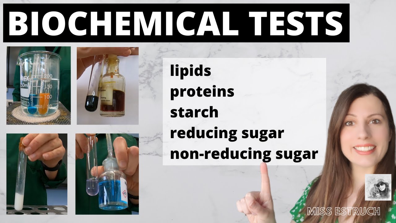 A-level BIOCHEMICAL TESTS- test for starch, reducing sugars, non-reducing sugars, proteins, lipids
