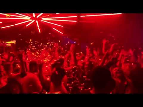 Cats On Bricks @ Pacha