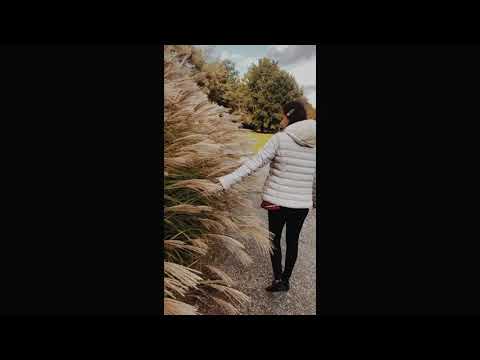 Sew Your Heart 🍁🍂