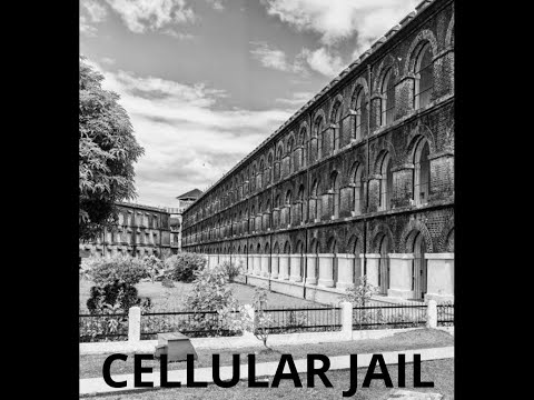 Lawyers as Freedom Fighters