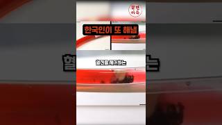 유튜브 썸네일