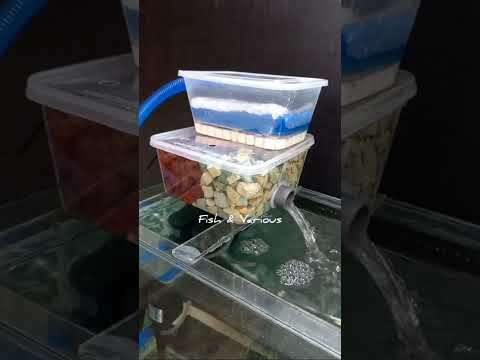 Aquarium top filter DIY | Fish tank filter DIY