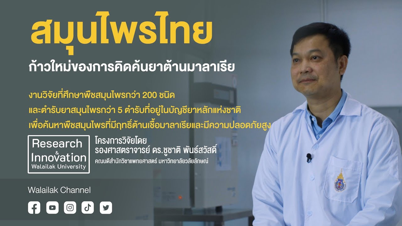Walailak Research&Innovtion : สมุนไพรไทย ก้าวใหม่ของการคิดค้นยาต้านมาลาเรีย