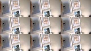 &quot;Dirt Nasty - Motel Room&quot; Fan Video Sheraton hotel