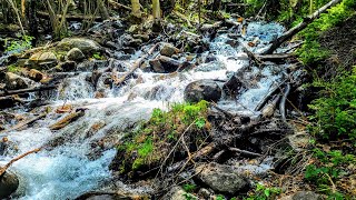 Rainbow Trail | Colorado Hiking Trails