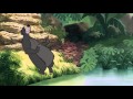 The Jungle Book The Bare Necessities 2 Part HD