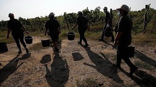 Queman vivos a 4 jornaleros en Italia: el único superviviente apunta a una red mafiosa